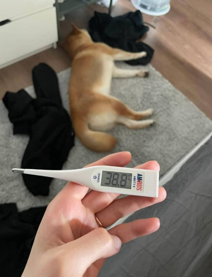 Ciao sono disponibile tutta la notte per momenti eccitanti senza grattacapi😍🍑🍆