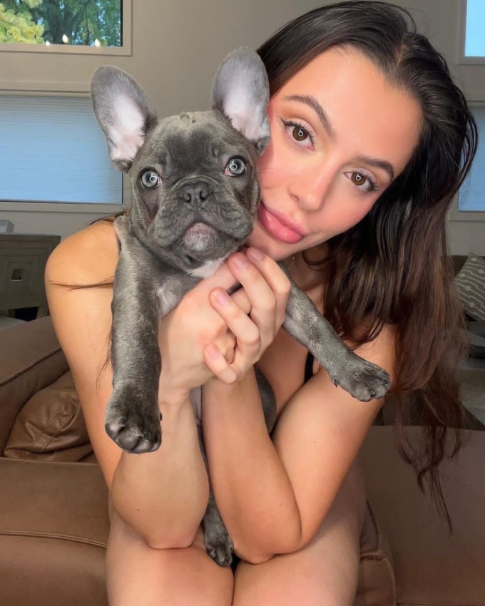 Disponibile