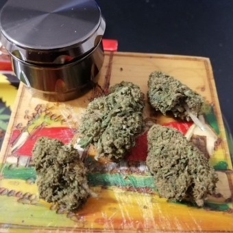 Pillole di erba e cocaina disponibili ora. Scrivimi su WhatsApp +22967571669 Pillole di erba e cocaina disponibili ora. Scrivimi su WhatsApp +22967571669